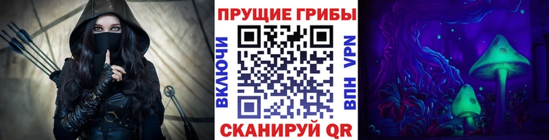 Галлюциногенные грибы Psilocybine cubensis  Сенгилей 